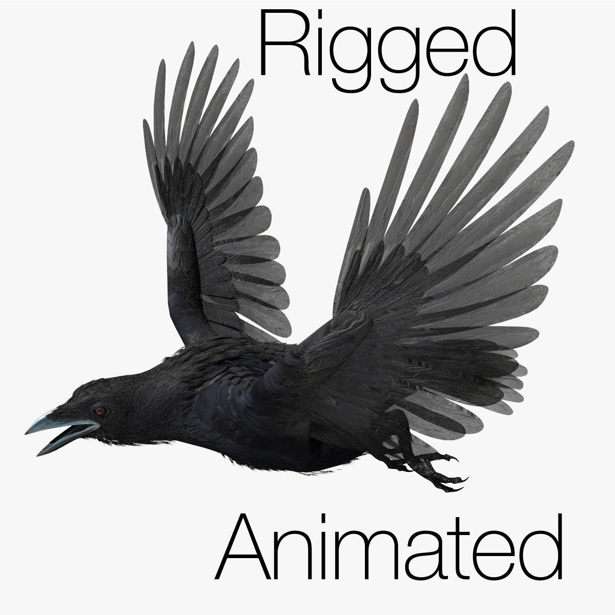 Crow - rigged - animated - Standard - PBR - VRAY Low-poly  3D model_34