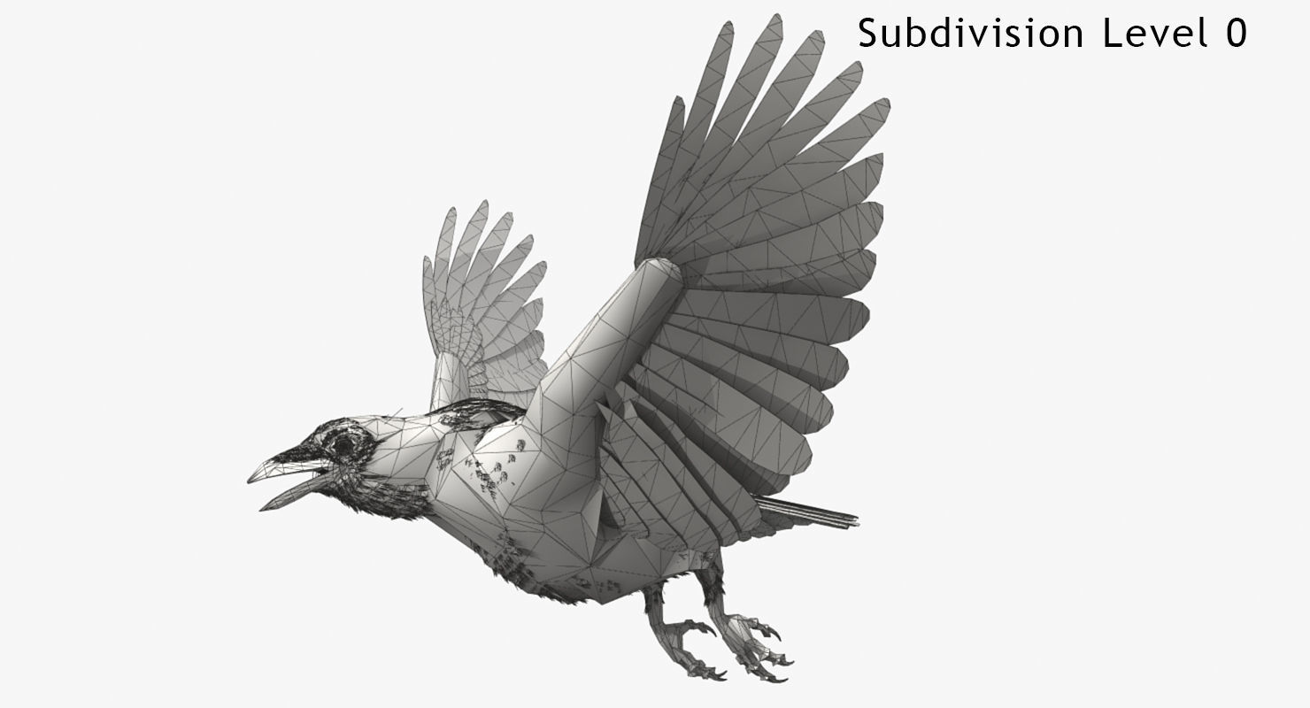 Crow - rigged - animated - Standard - PBR - VRAY Low-poly  3D model_14