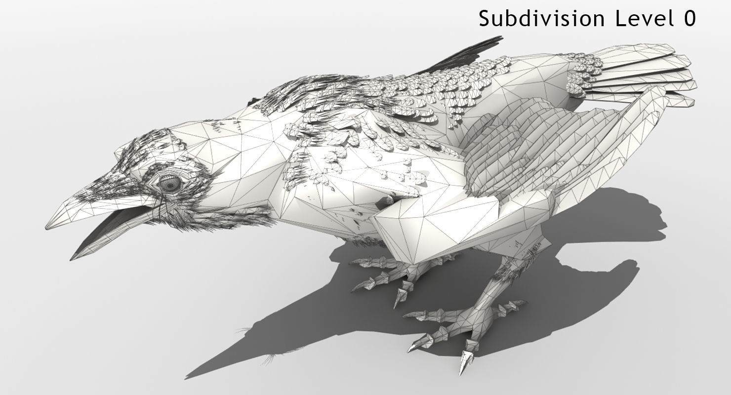 Crow - rigged - animated - Standard - PBR - VRAY Low-poly  3D model_11
