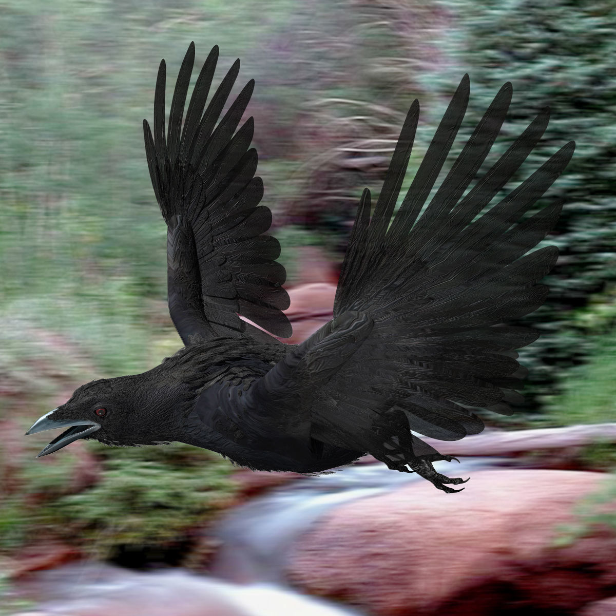 Crow - rigged - animated - Standard - PBR - VRAY Low-poly  3D model_5