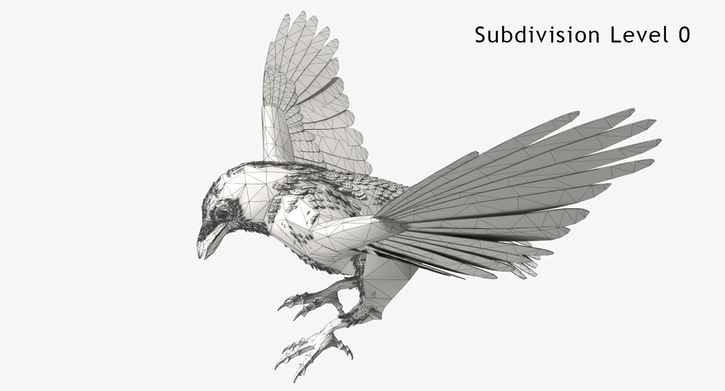 Crow - rigged - animated - Standard - PBR - VRAY Low-poly  3D model_8