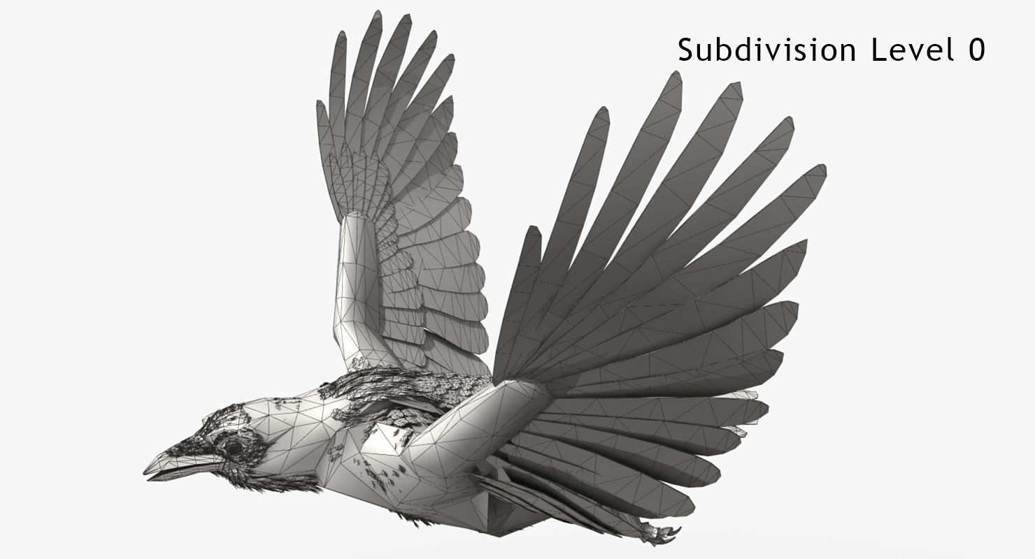 Crow - rigged - animated - Standard - PBR - VRAY Low-poly  3D model_17