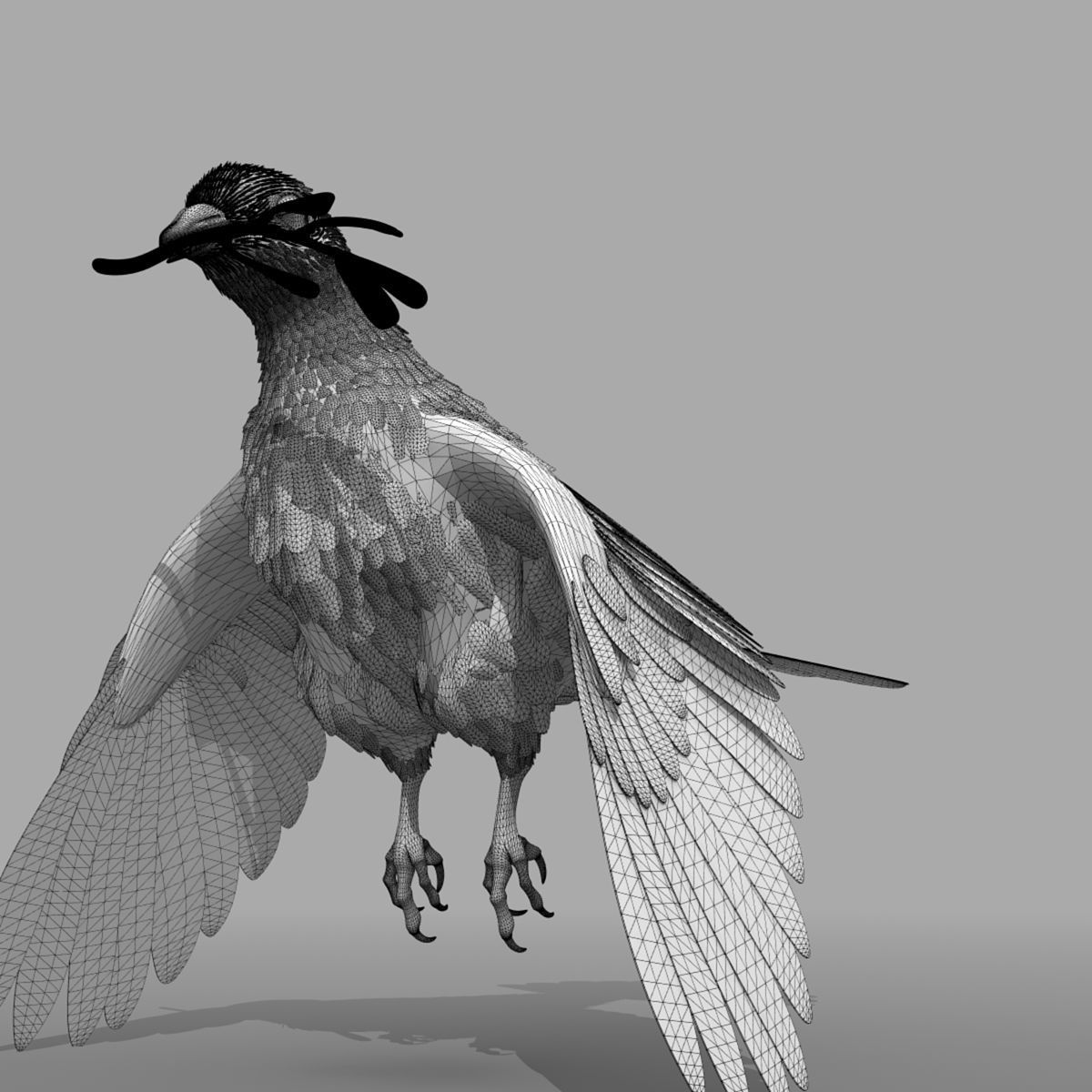 Dove - rigged - animated 3D model_26