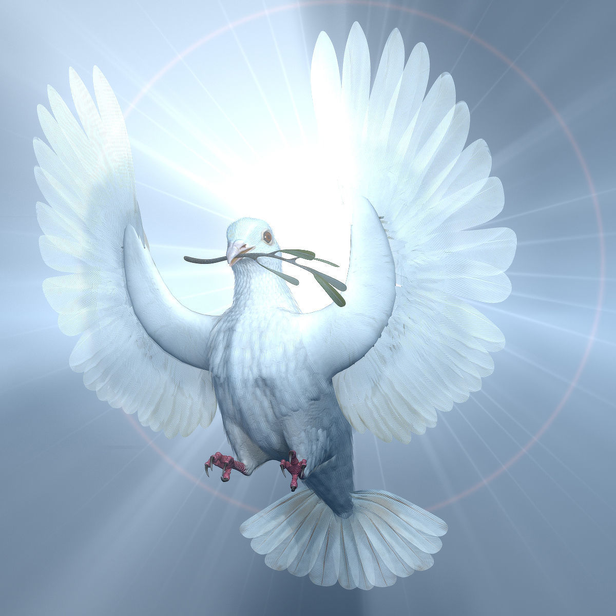 Dove - rigged - animated 3D model_18