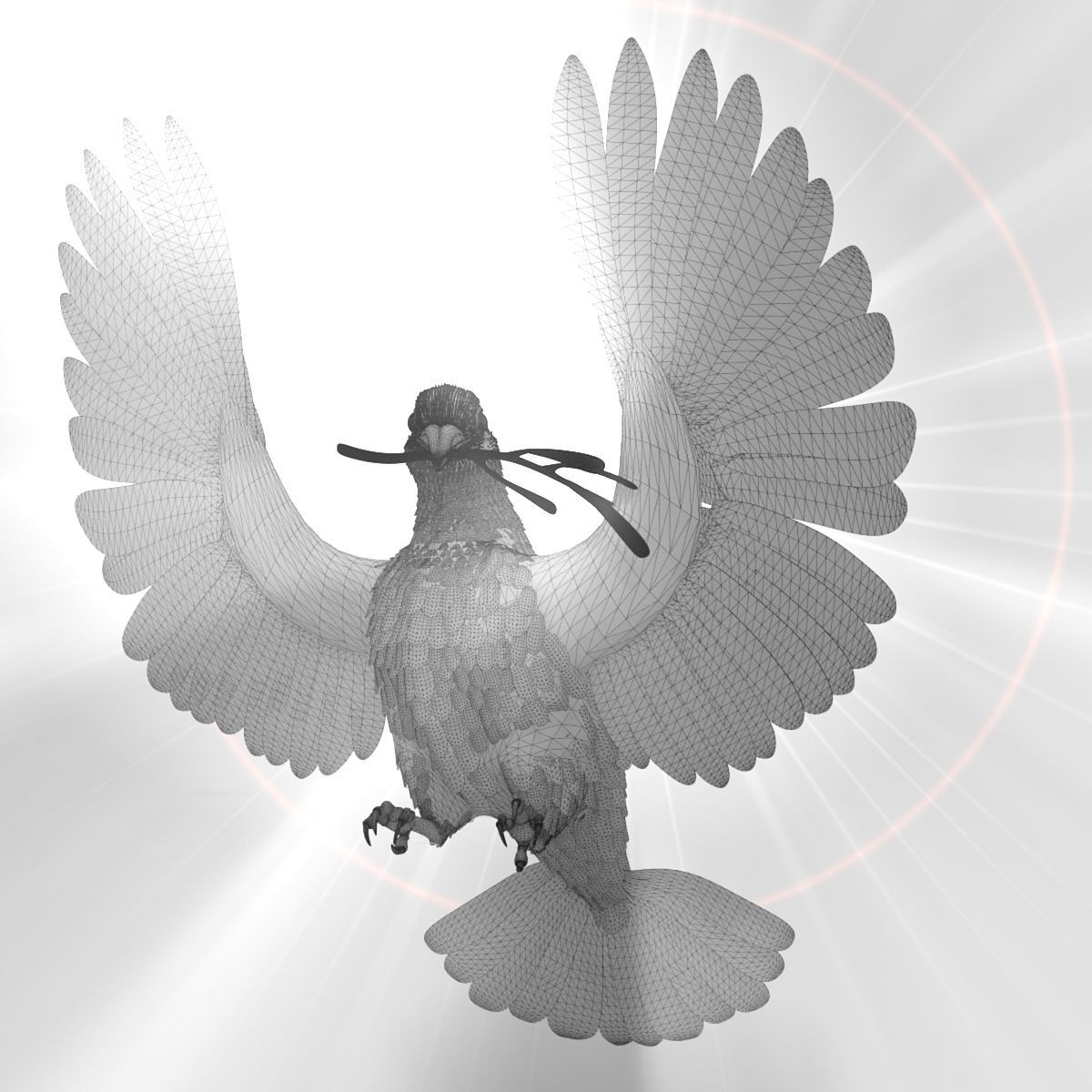 Dove - rigged - animated 3D model_30