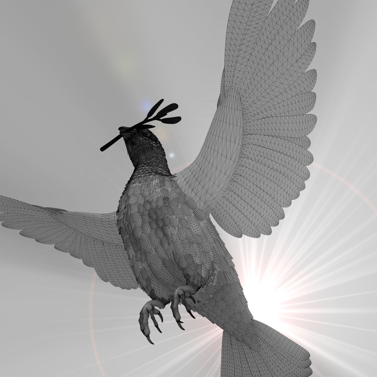 Dove - rigged - animated 3D model_23