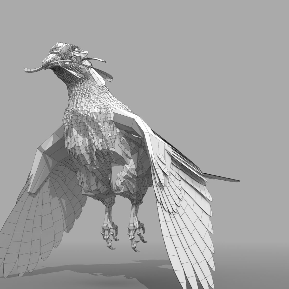 Dove - rigged - animated 3D model_27