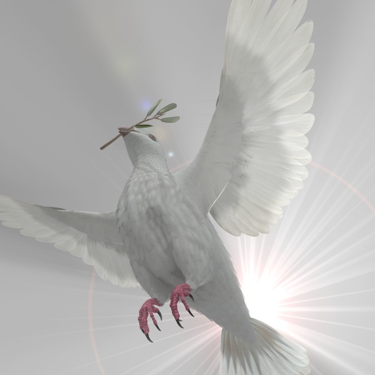 Dove - rigged - animated 3D model_22