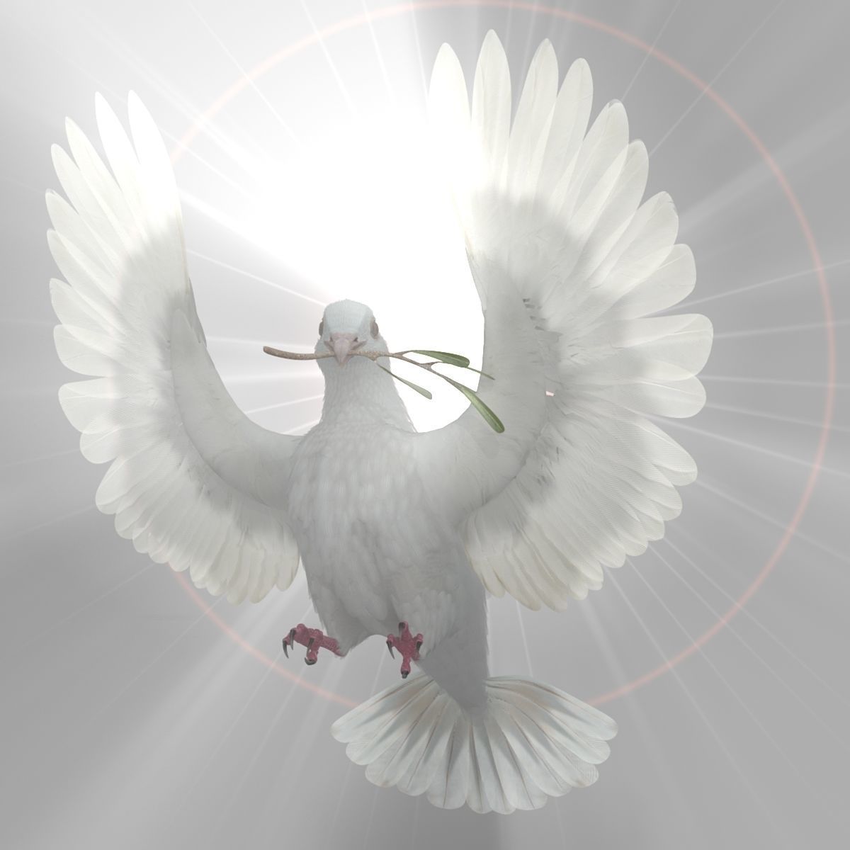 Dove - rigged - animated 3D model_28