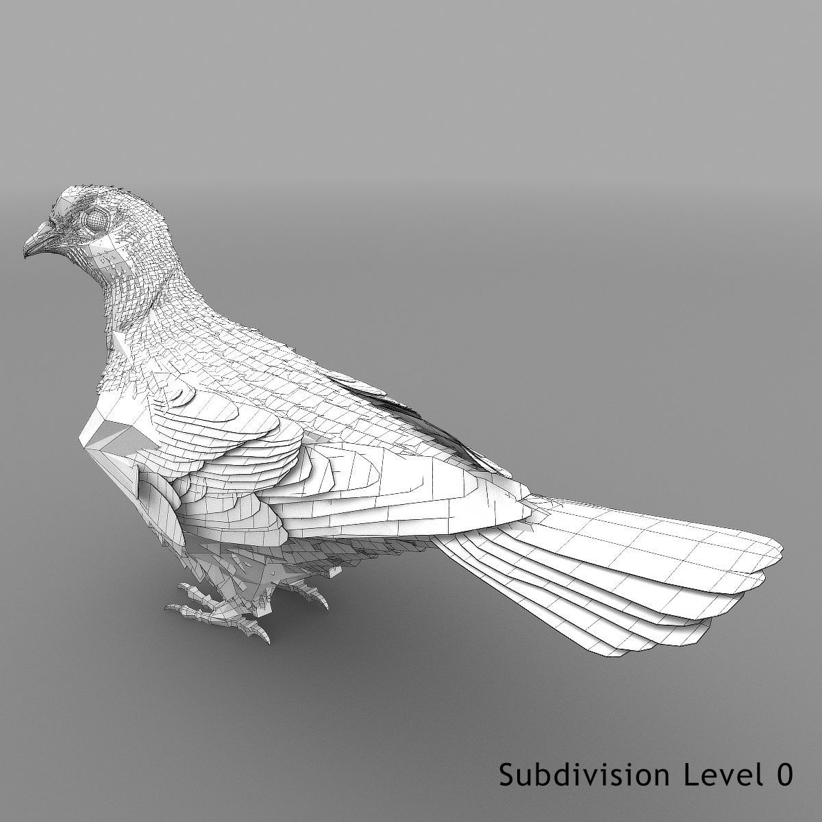 Dove - rigged - animated 3D model_21