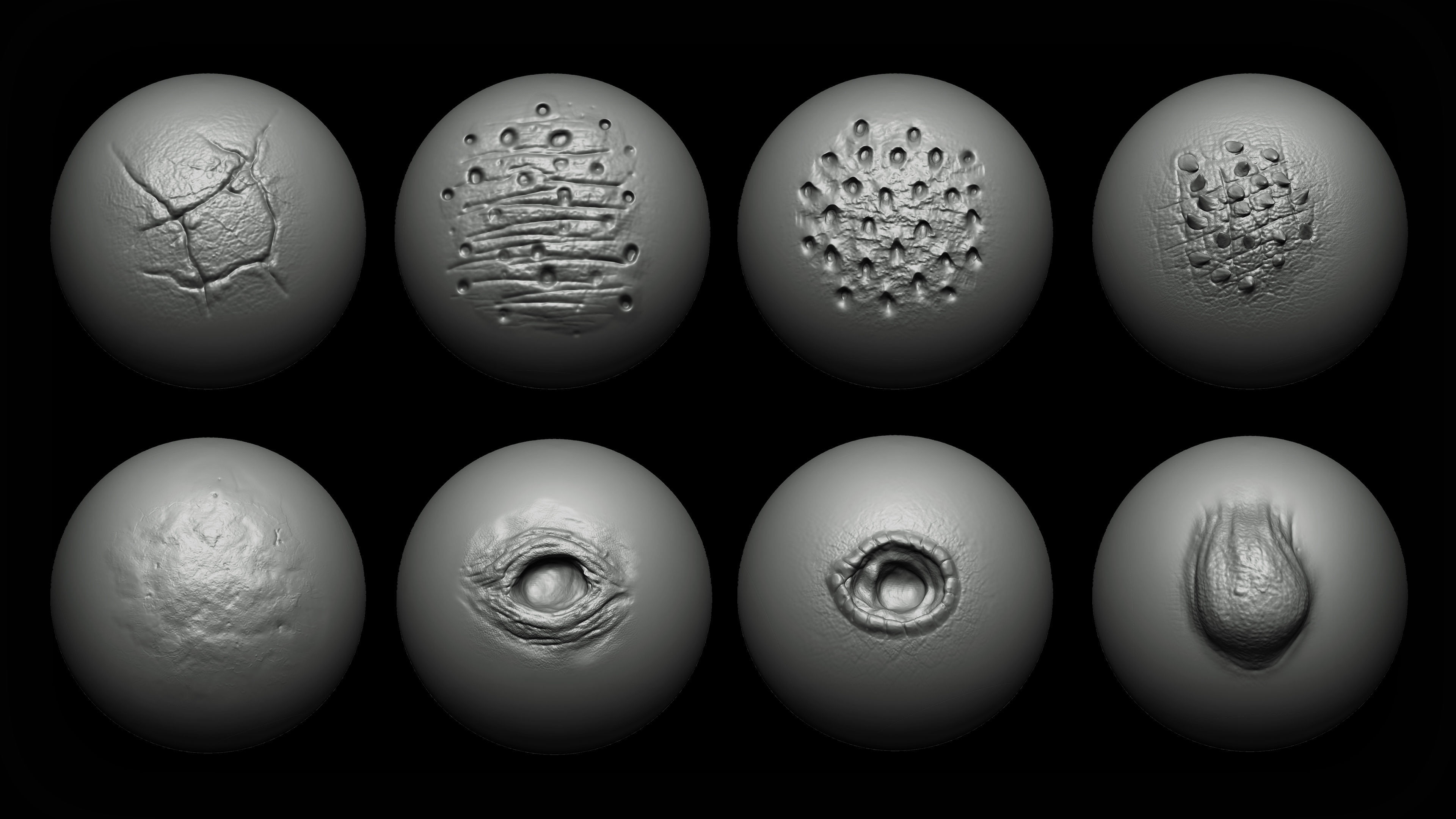 Zbrush and Blender - 40 Dragon VDM Brush 3D model_4