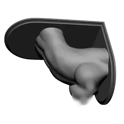 Shelf Brackets Female Torso 3D print model