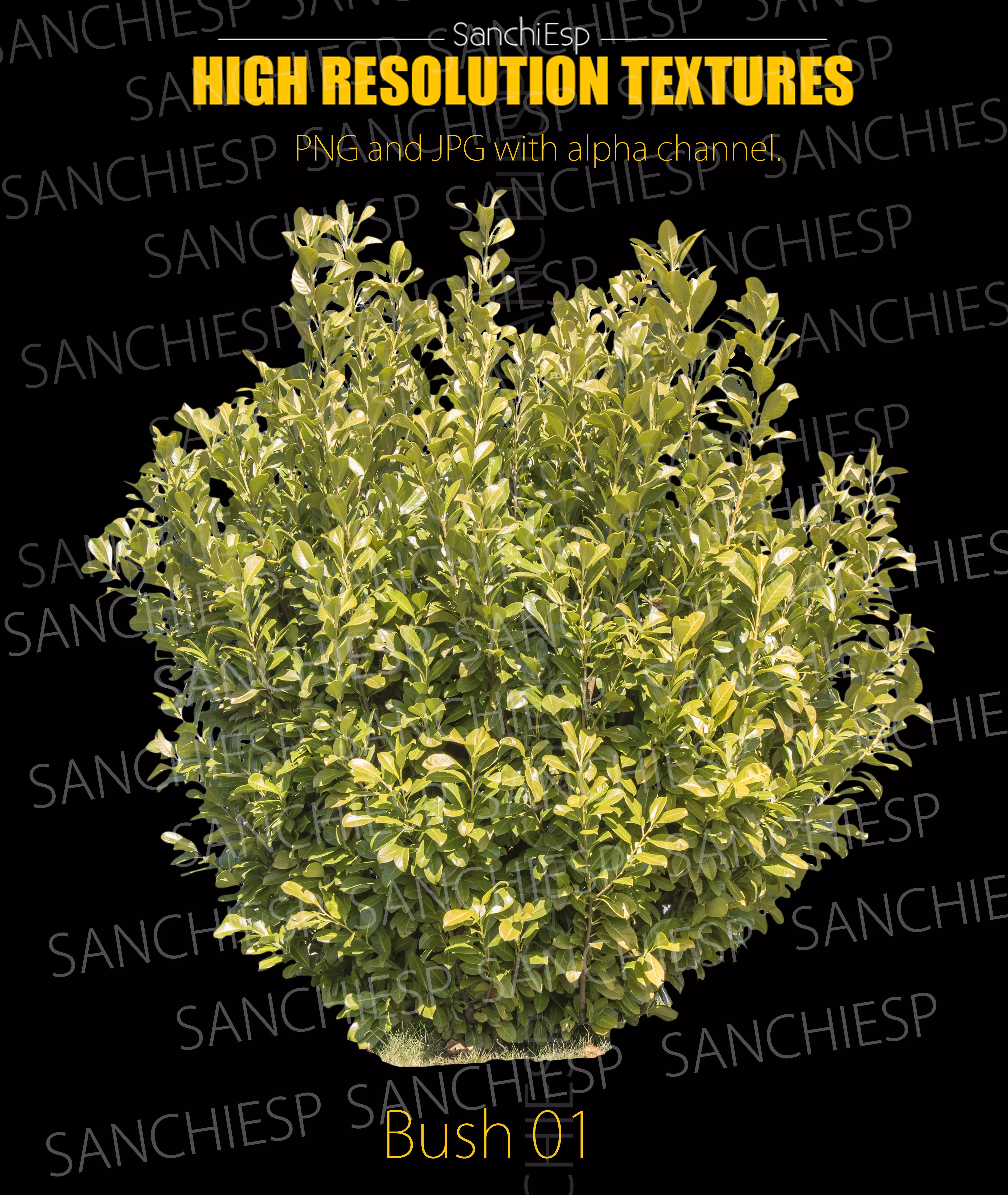 Bush 01 Texture