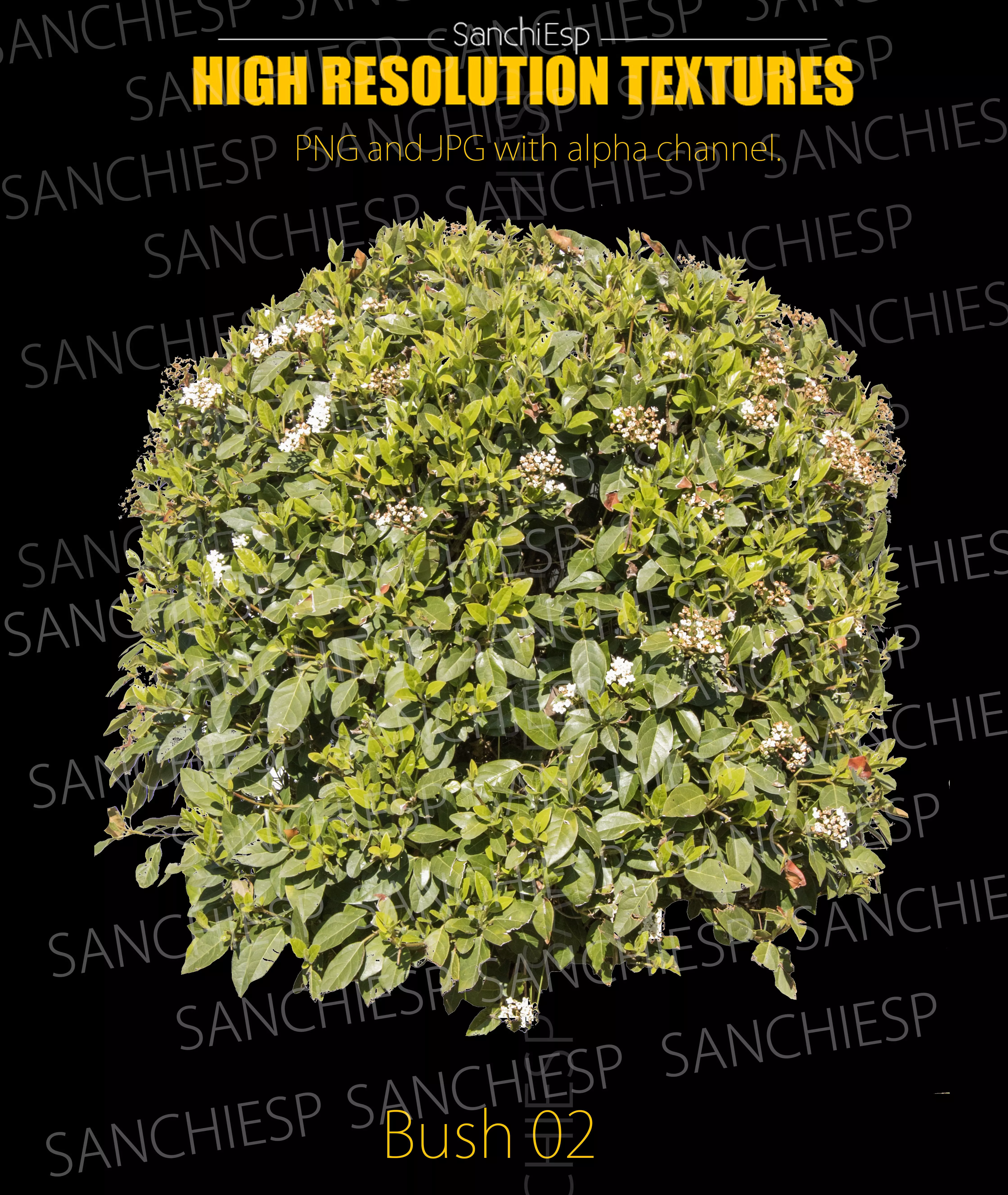 Bush 02 Texture