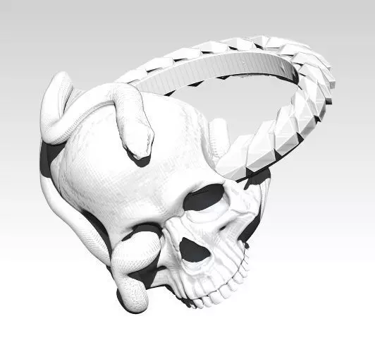 Snake Ring with Skull 3D print model_0