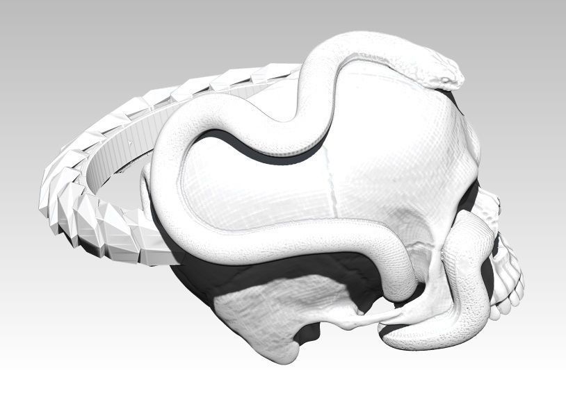 Snake Ring with Skull 3D print model_1
