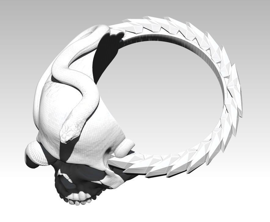 Snake Ring with Skull 3D print model_2