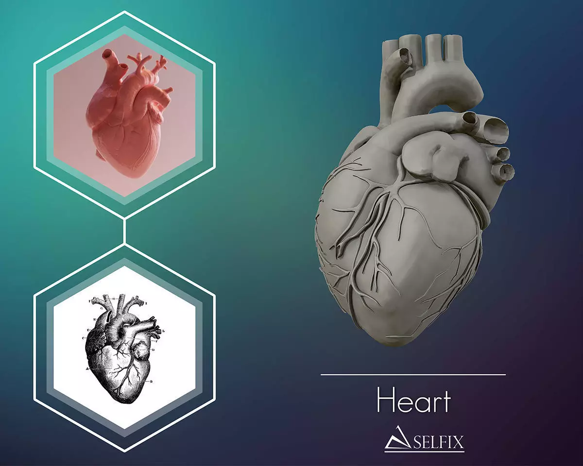 Heart sculpture Ready to Print 3D print model