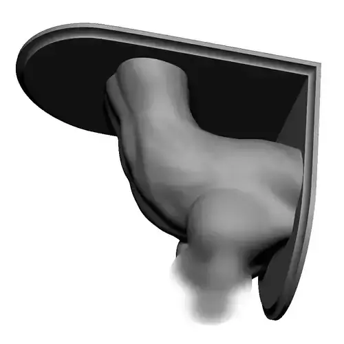 Shelf Brackets Female Torso Nipple Pierced