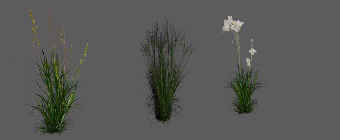 Low Poly Alpha Grass Mega Pack 9 in 1 3D Model Collection_5