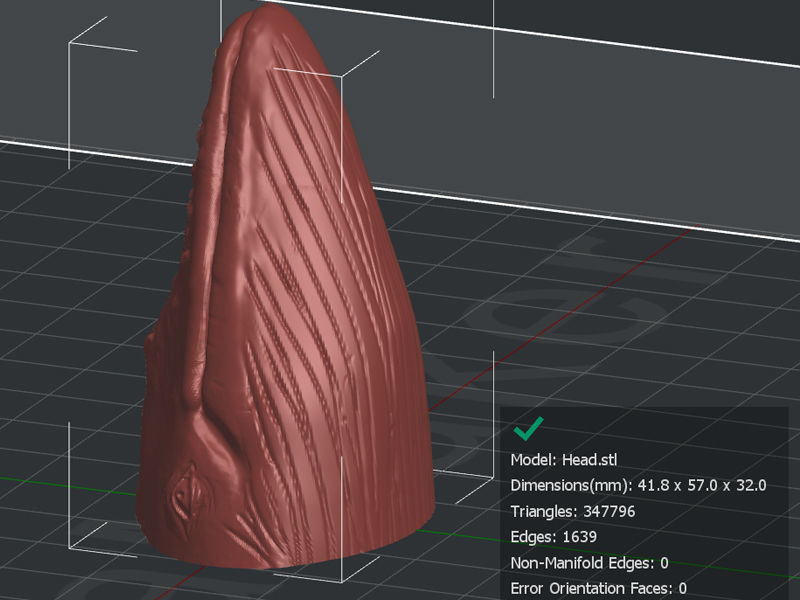 Blue Whale Printable 3D print model_3