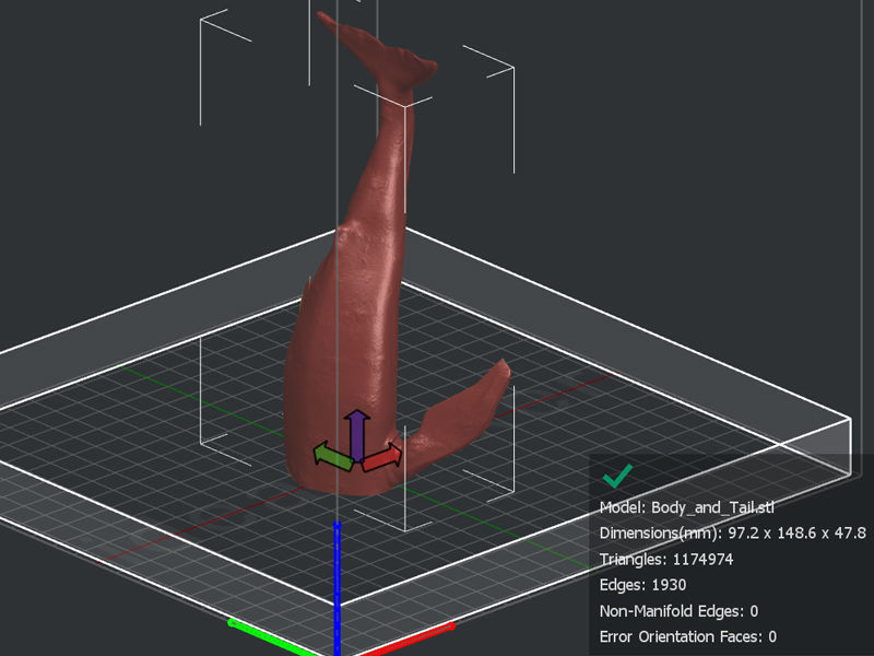 Blue Whale Printable 3D print model_2