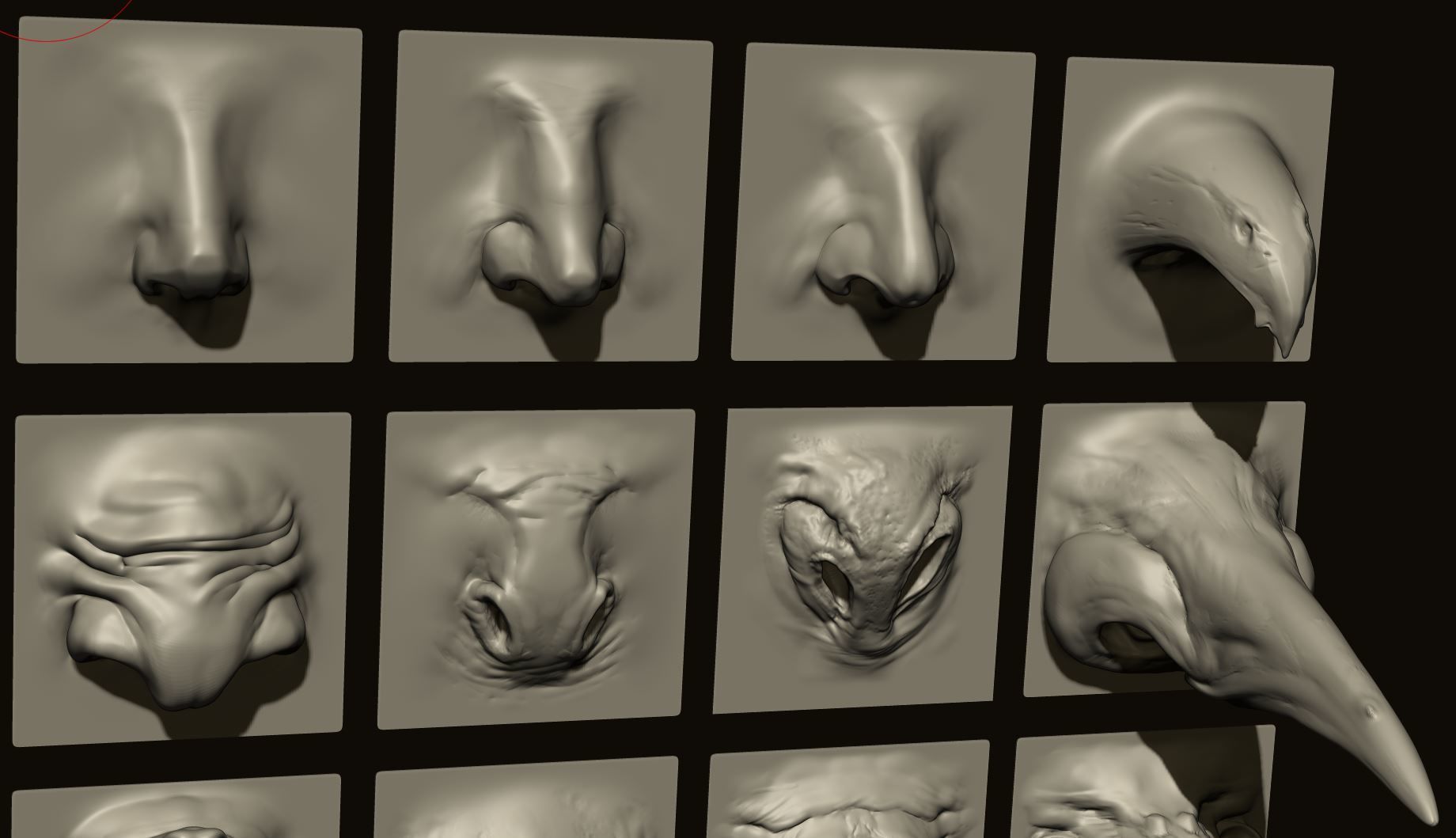 NOSES - 40 ZBrush VDM Nasal Areas 3D model_15
