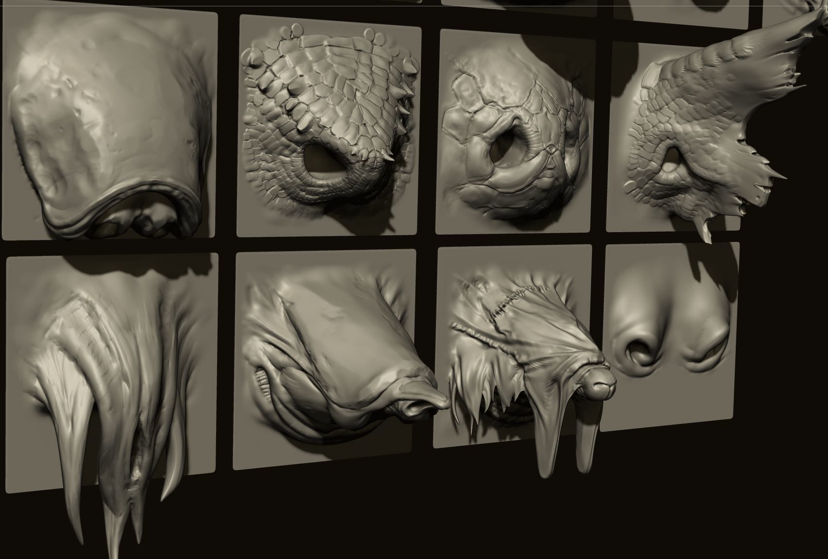 NOSES - 40 ZBrush VDM Nasal Areas 3D model_18