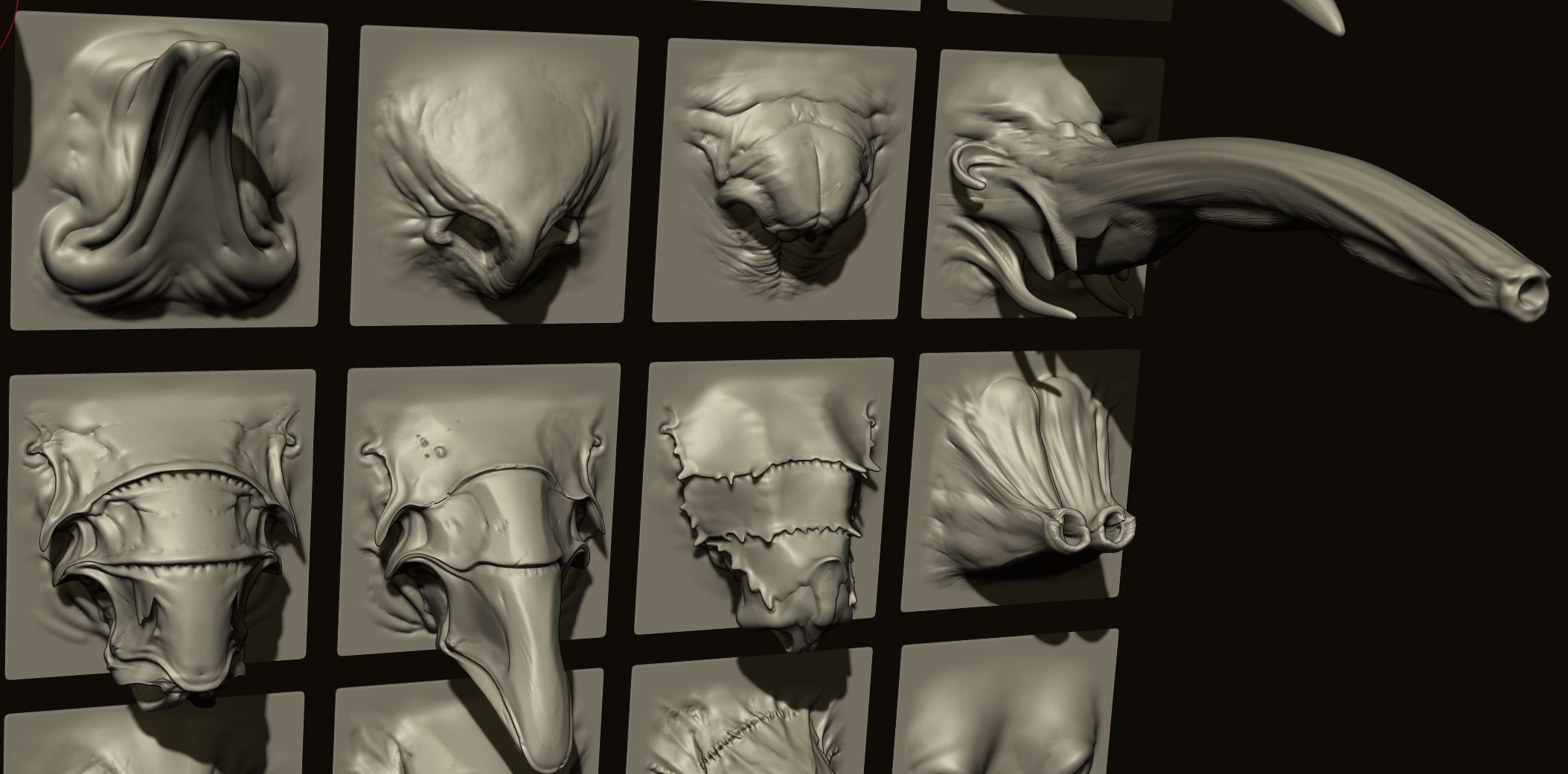 NOSES - 40 ZBrush VDM Nasal Areas 3D model_17