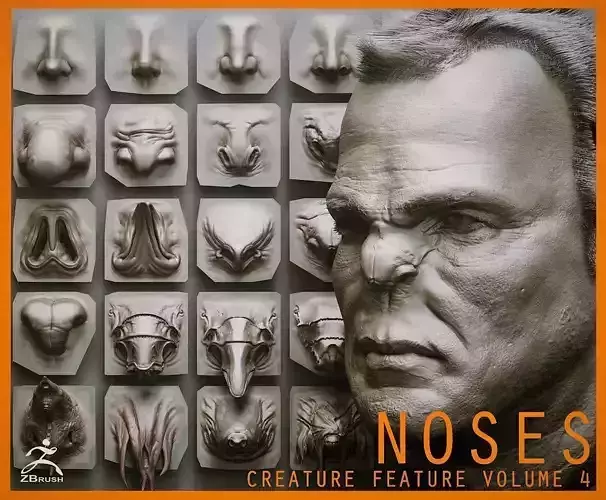 NOSES - 40 ZBrush VDM Nasal Areas 3D model