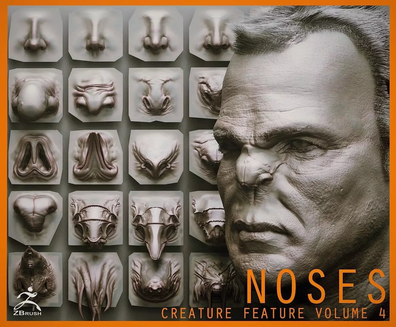 NOSES - 40 ZBrush VDM Nasal Areas 3D model_0