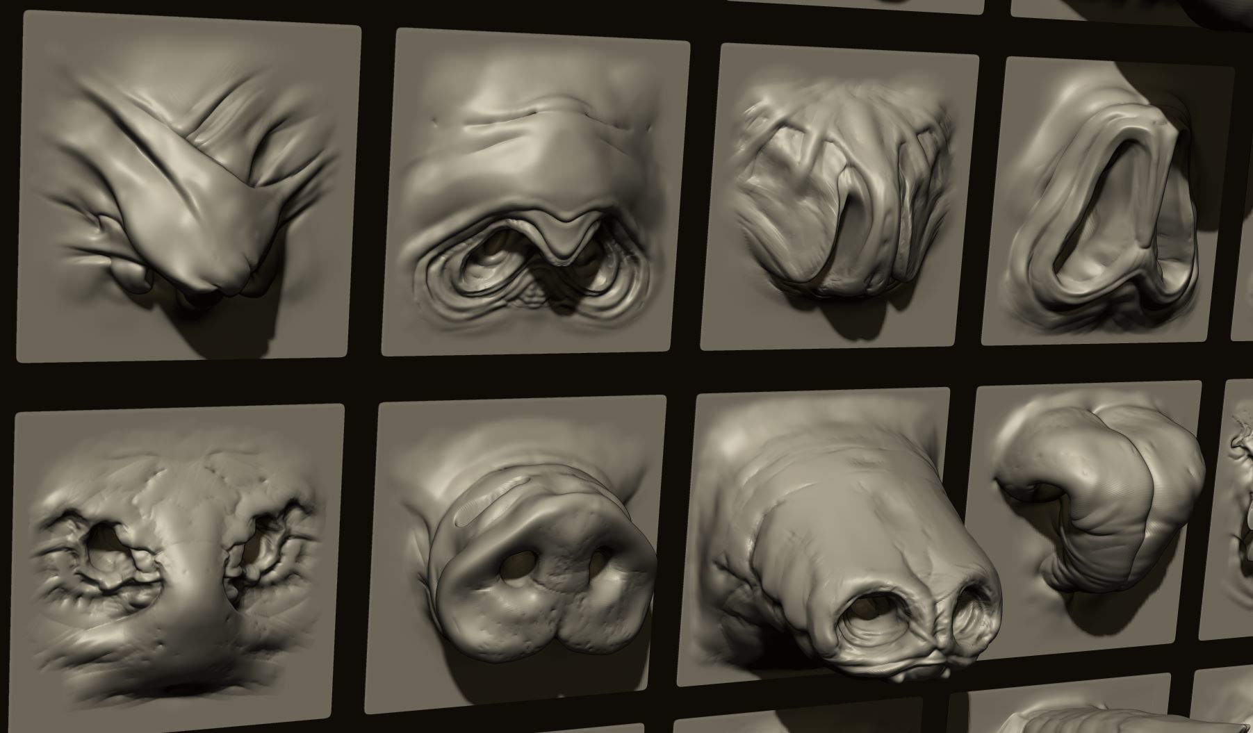 NOSES - 40 ZBrush VDM Nasal Areas 3D model_16