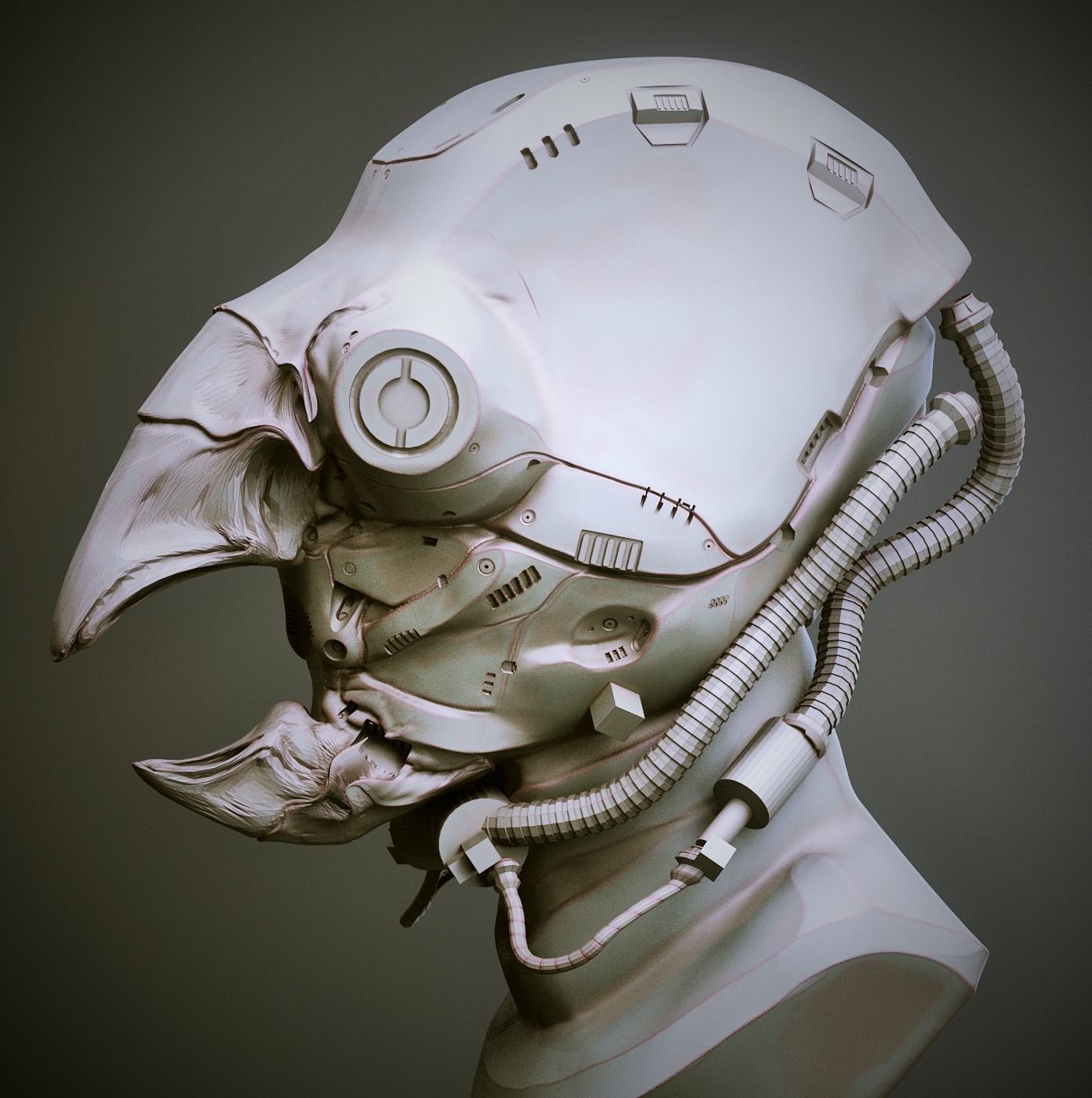 NOSES - 40 ZBrush VDM Nasal Areas 3D model_5