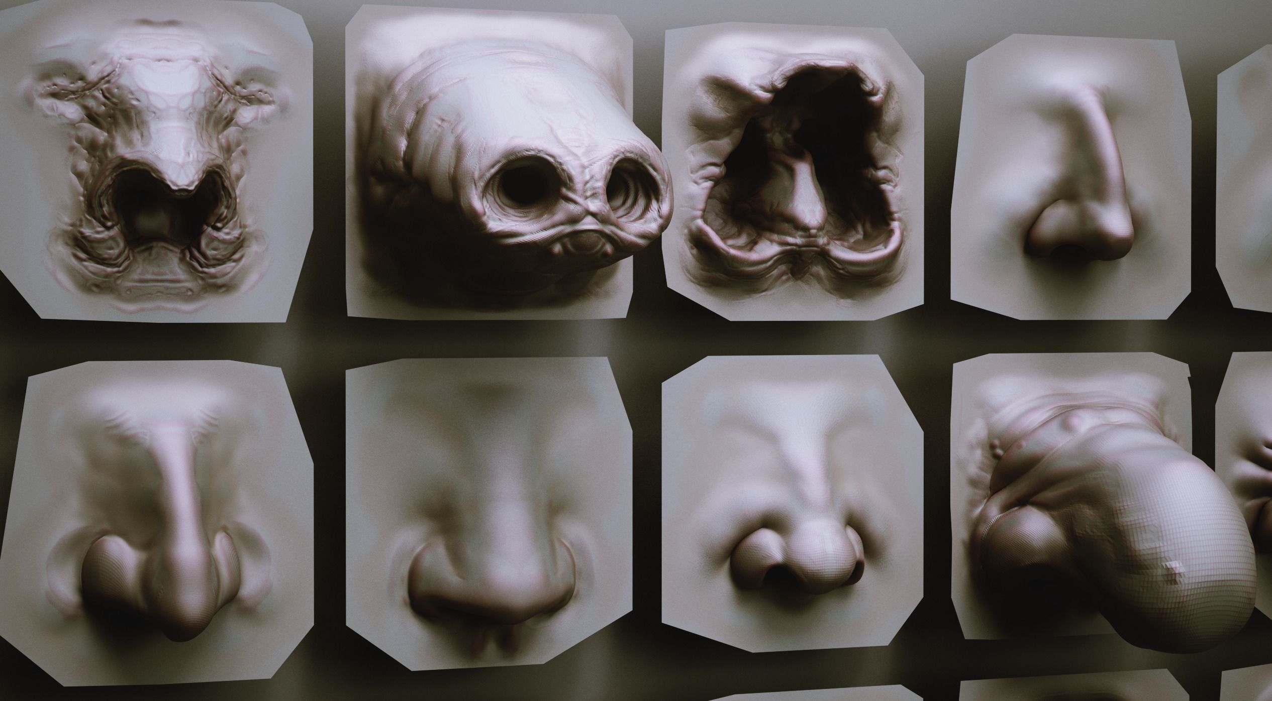 NOSES - 40 ZBrush VDM Nasal Areas 3D model_7