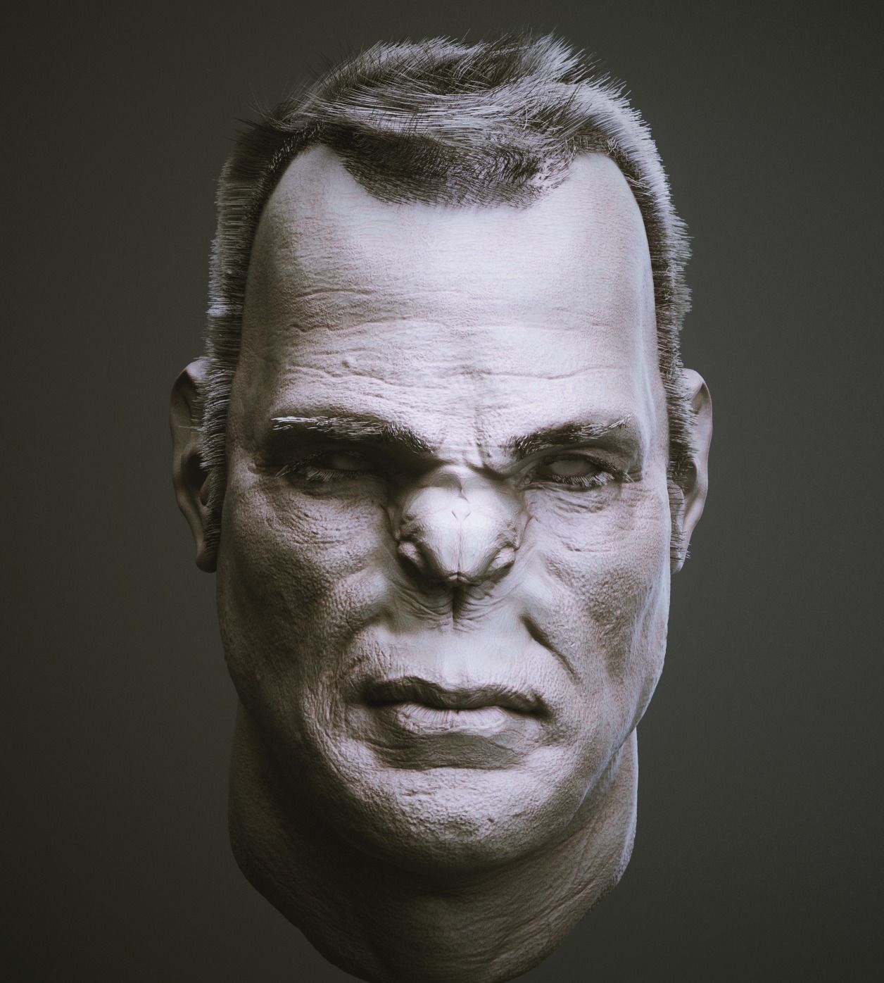 NOSES - 40 ZBrush VDM Nasal Areas 3D model_6