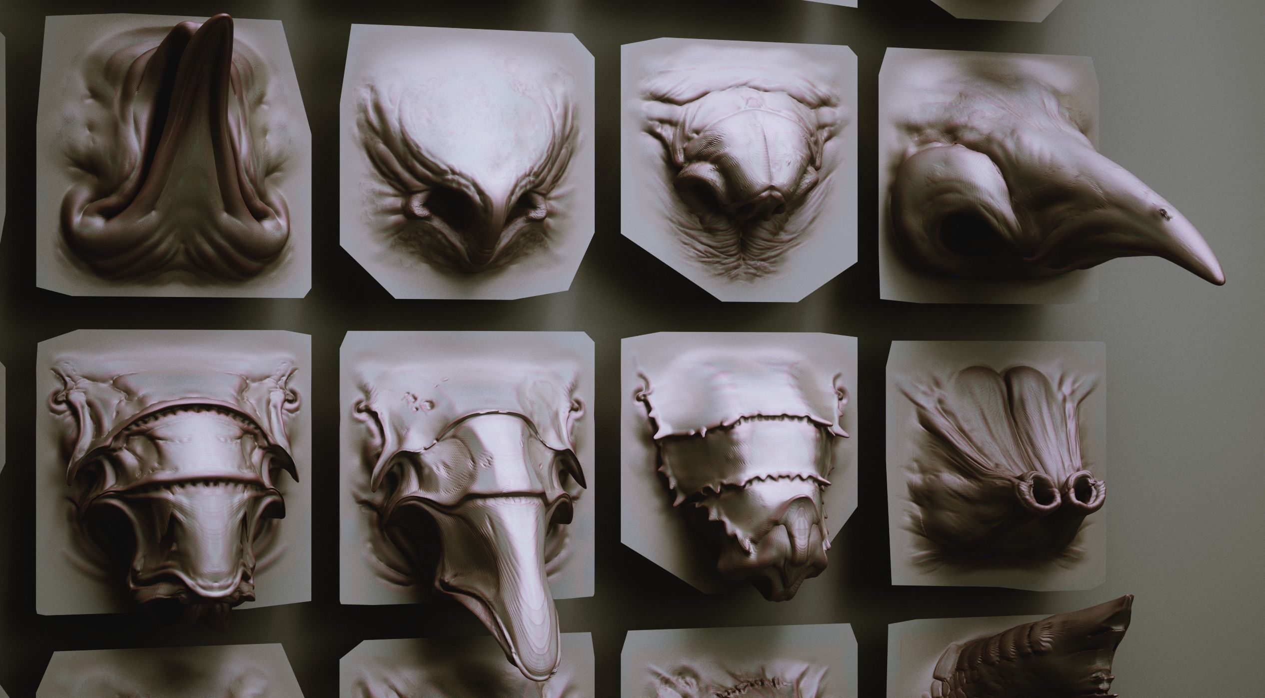 NOSES - 40 ZBrush VDM Nasal Areas 3D model_10