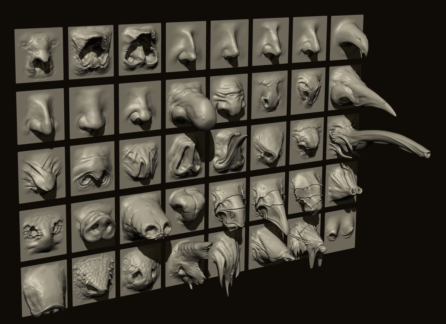 NOSES - 40 ZBrush VDM Nasal Areas 3D model_13