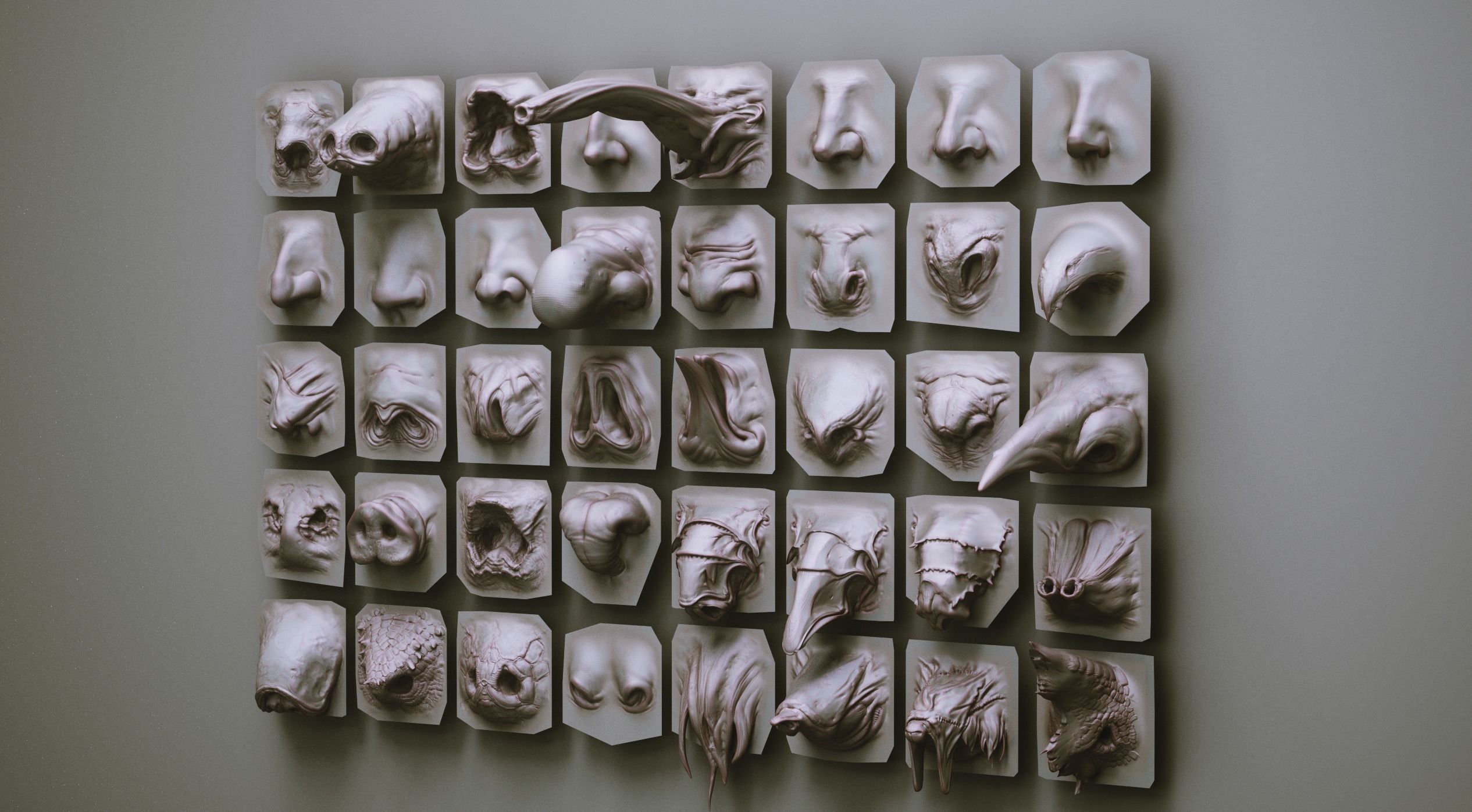 NOSES - 40 ZBrush VDM Nasal Areas 3D model_3