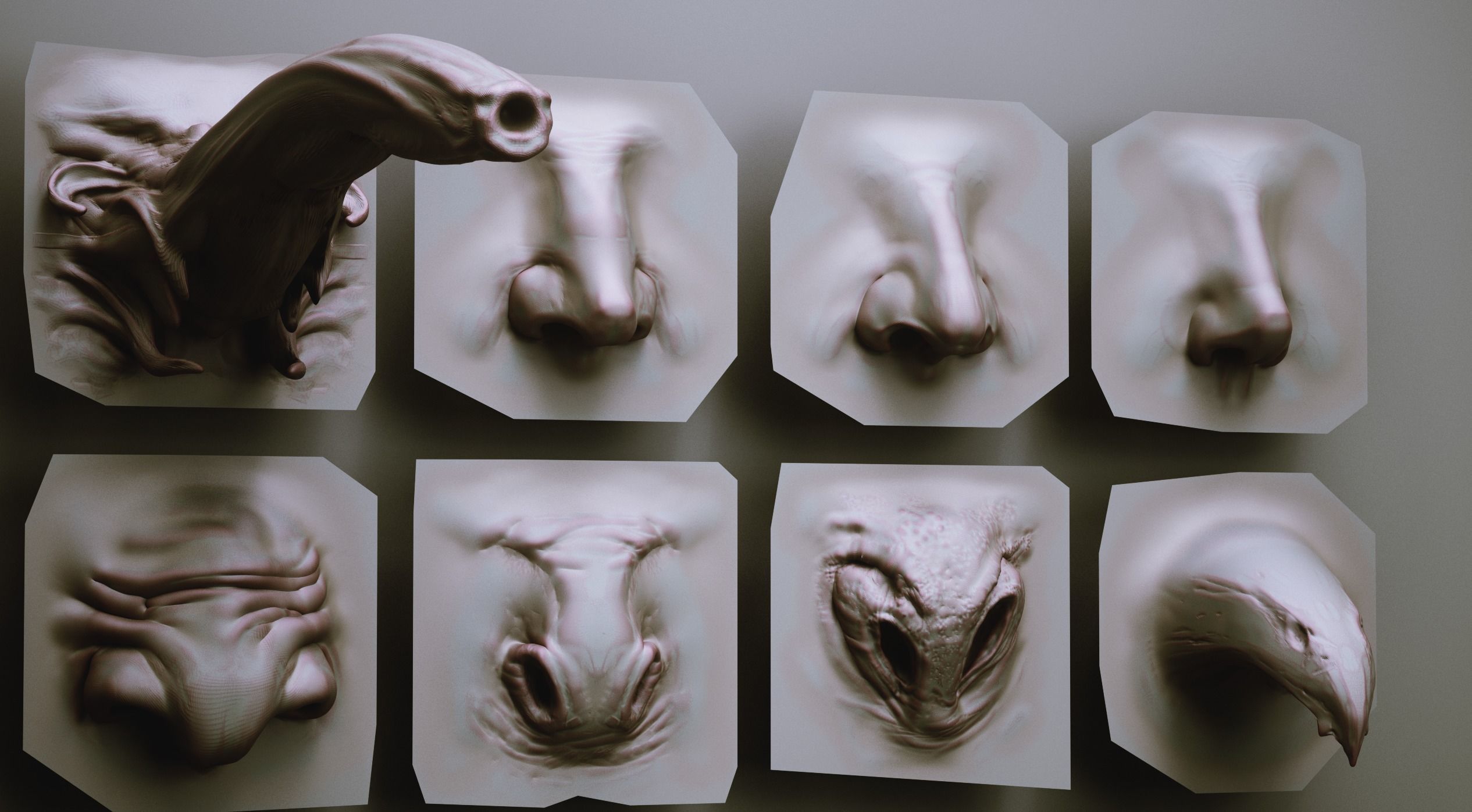 NOSES - 40 ZBrush VDM Nasal Areas 3D model_8