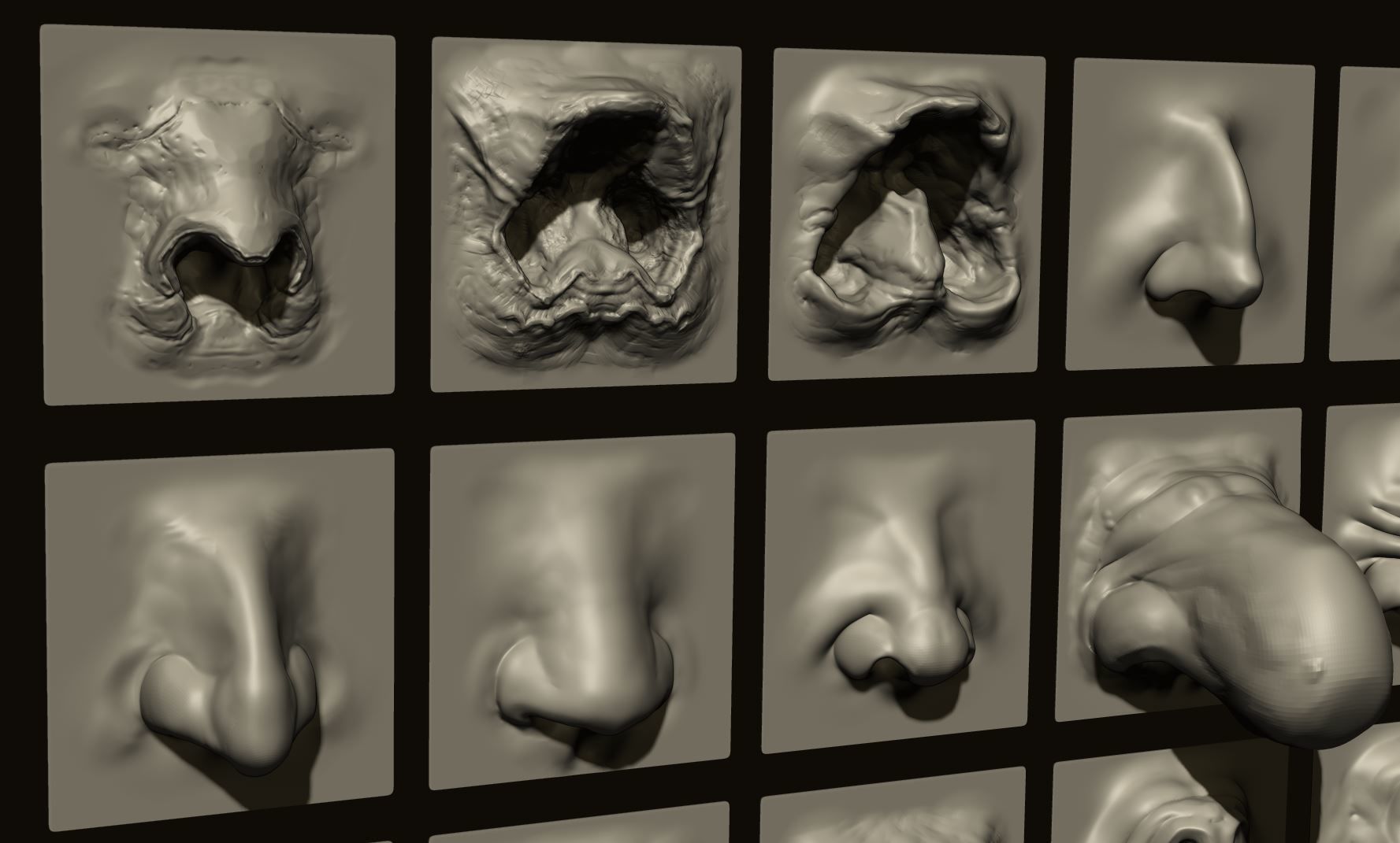 NOSES - 40 ZBrush VDM Nasal Areas 3D model_14