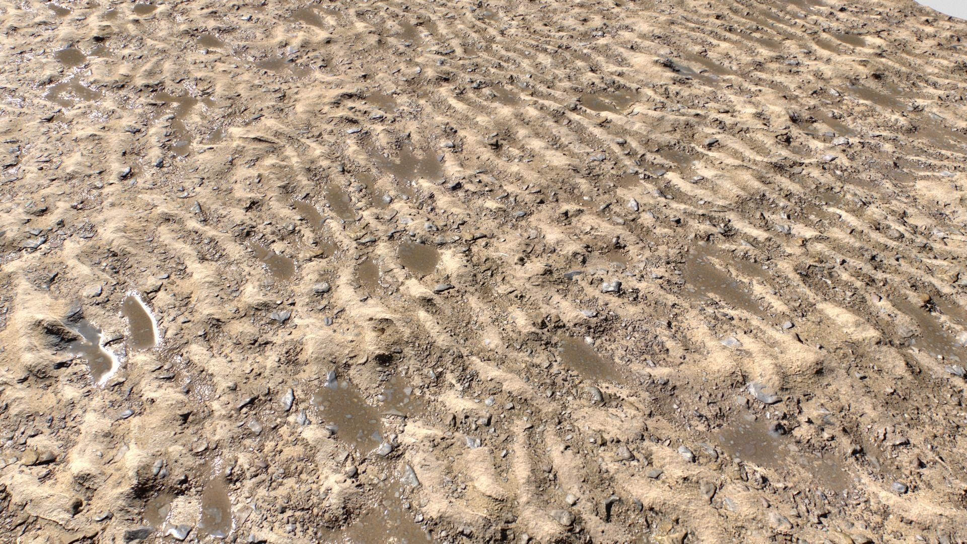 Sand and Mud texture set Texture_3