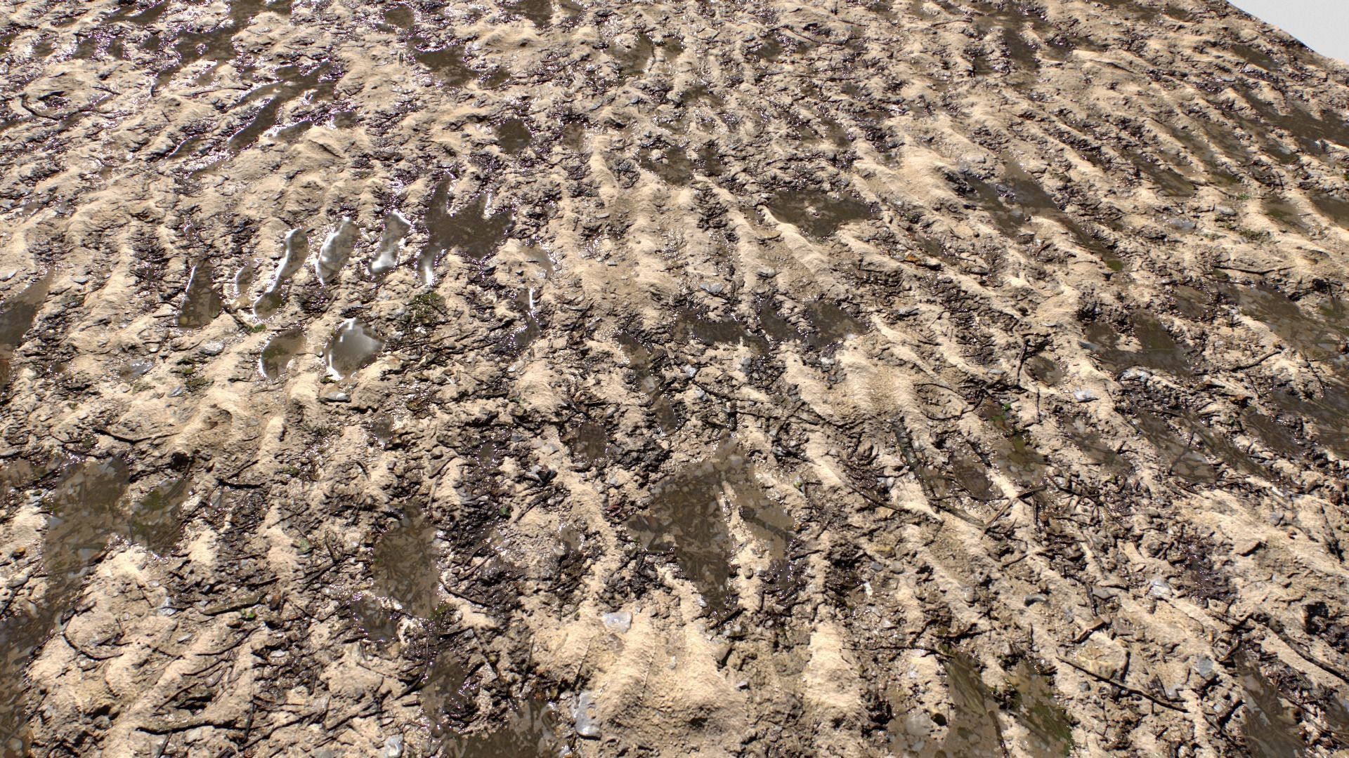 Sand and Mud texture set Texture_10