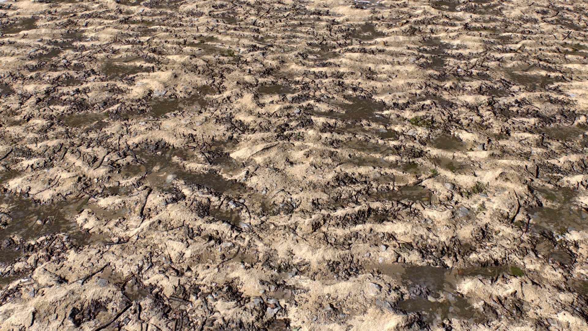 Sand and Mud texture set Texture_12