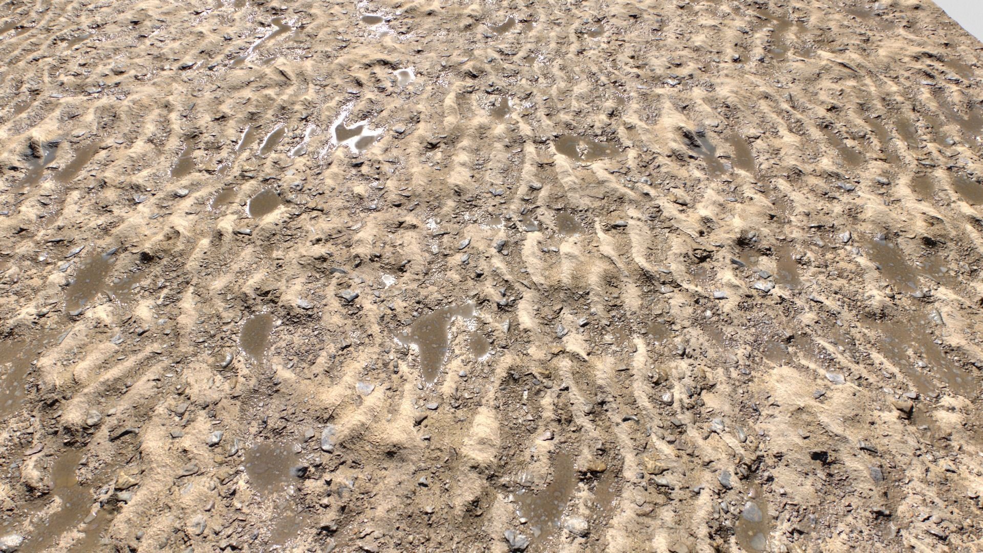 Sand and Mud texture set Texture_2