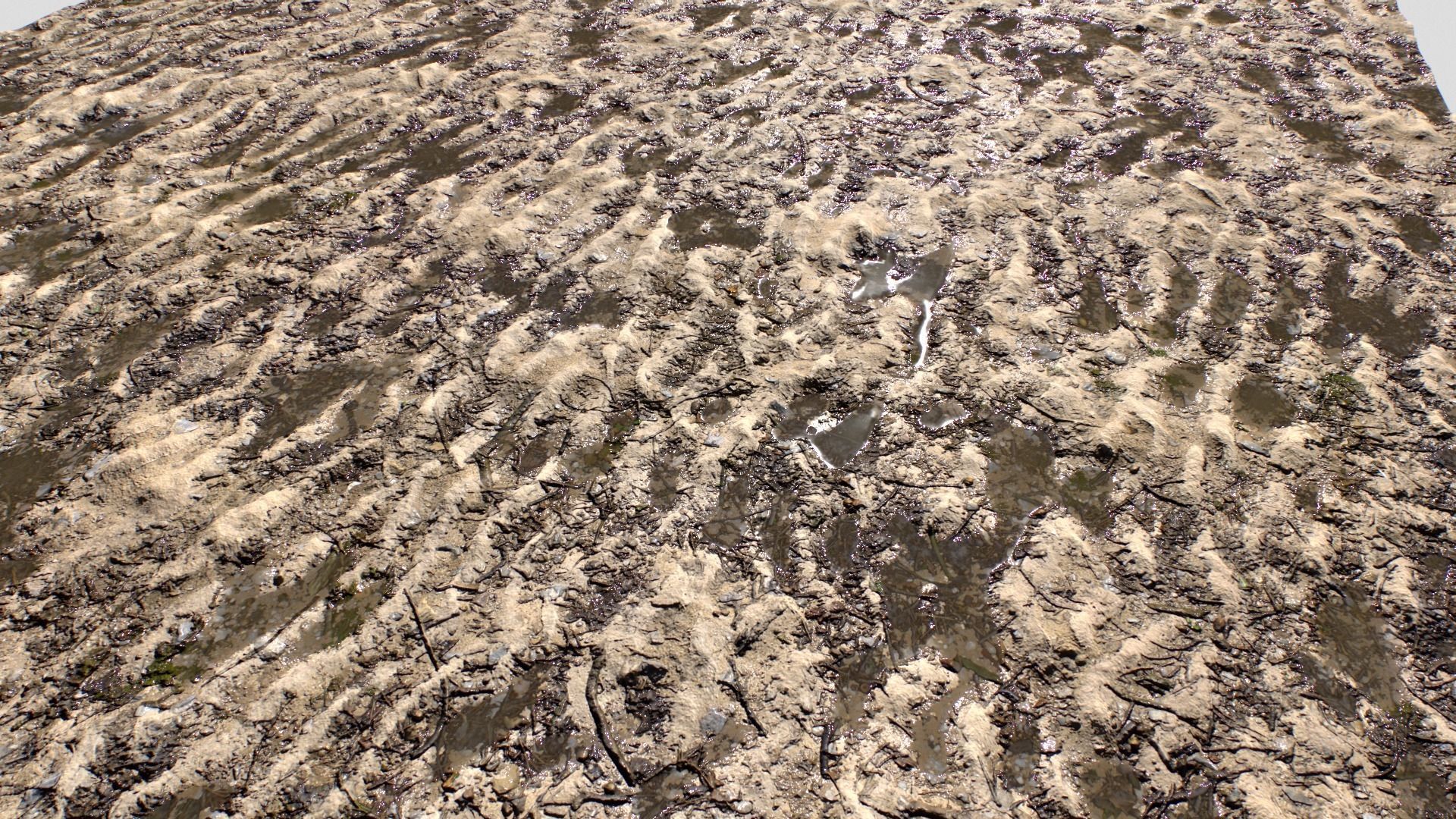 Sand and Mud texture set Texture_9