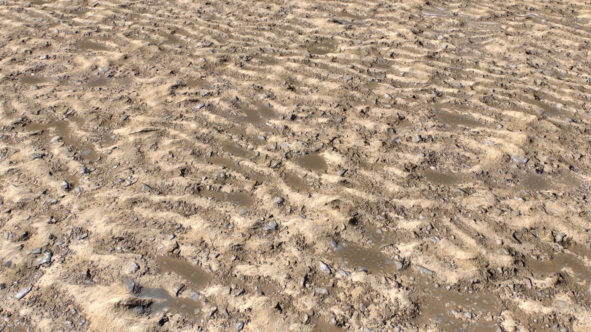 Sand and Mud texture set Texture_4