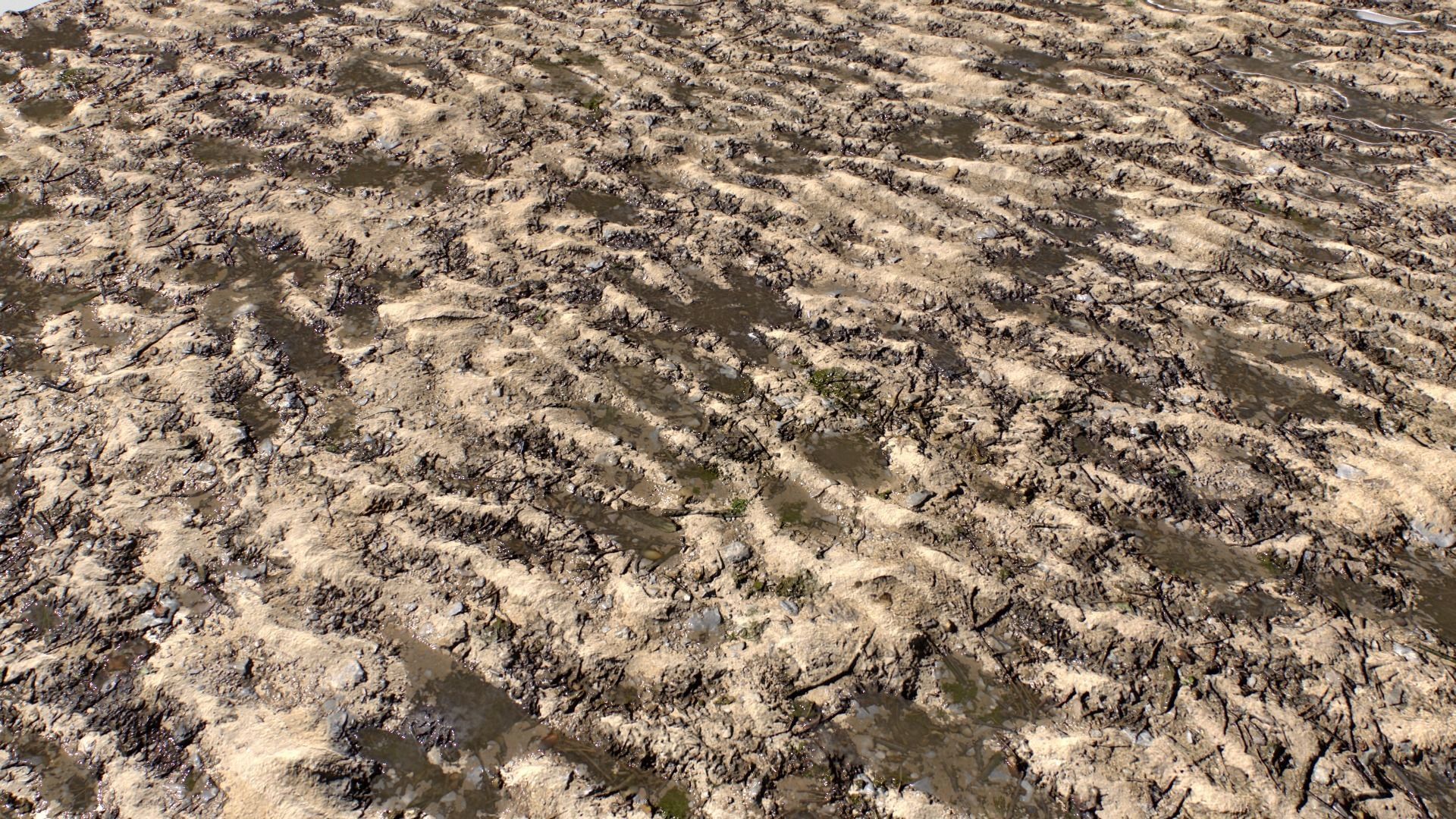 Sand and Mud texture set Texture_11