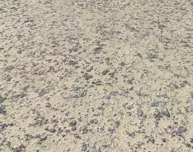 Sand and Rocks Seamless PBR
