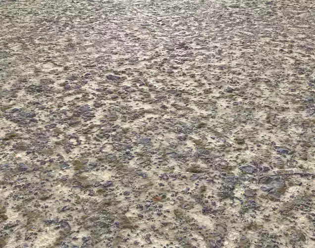 Sand and Rocks 2 Seamless PBR