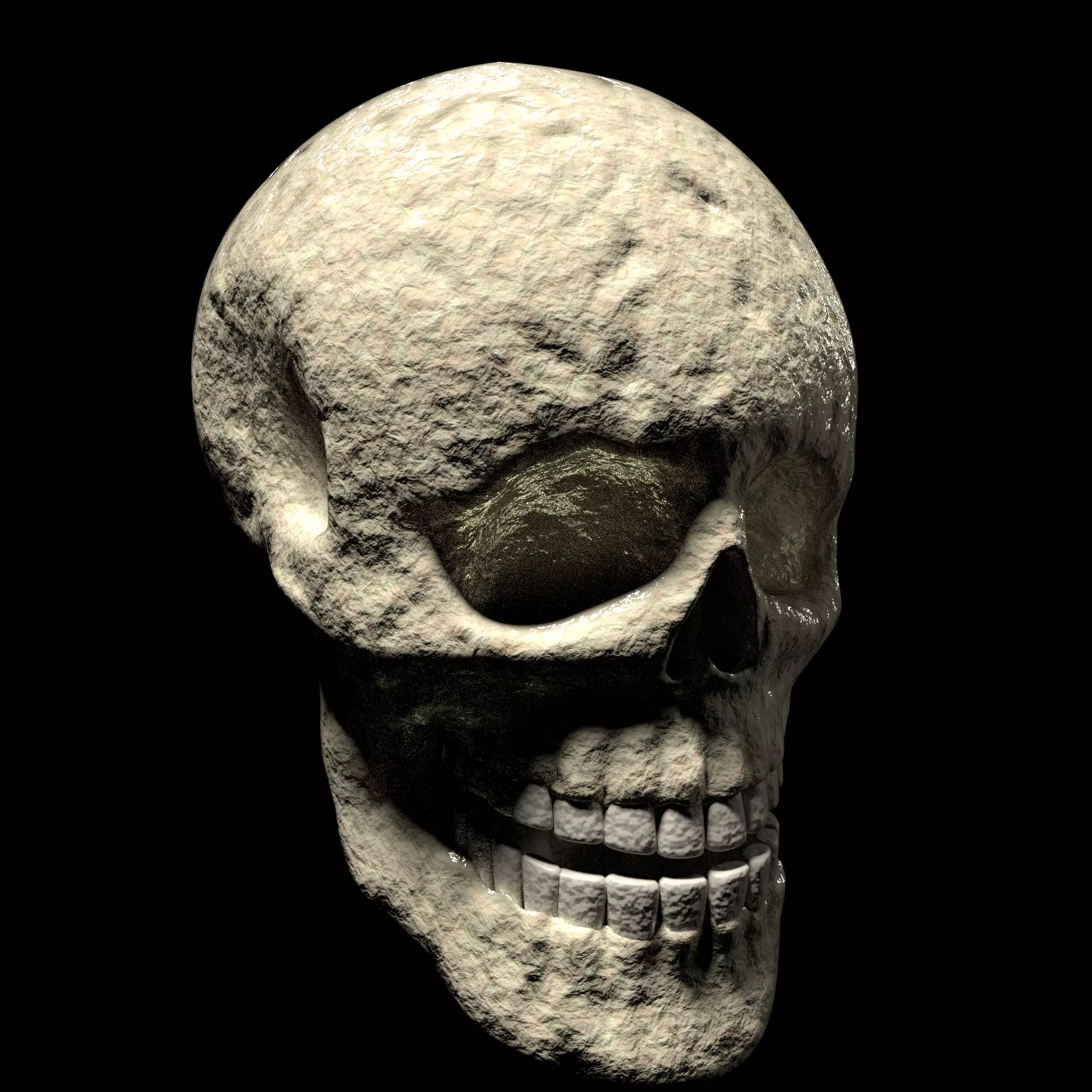 Withered Human Skull Model and Render File 3D model
